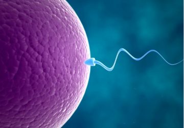 andrology (1) andrology (1)